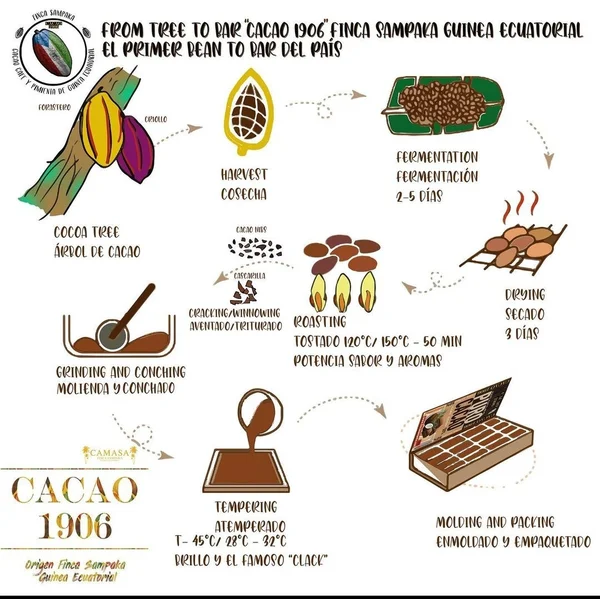 Discover cocoa in Equatorial Guinea: a delicious story.